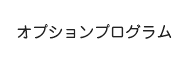 オプションプログラム