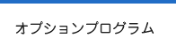 オプションプログラム